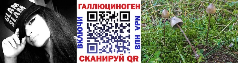 как найти закладки  Гай  Псилоцибиновые грибы мухоморы 