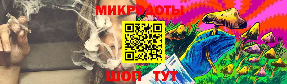 Псилоцибиновые грибы Cubensis  Псилоцибиновые грибы прущие грибы  Гай  Вход с VPN 