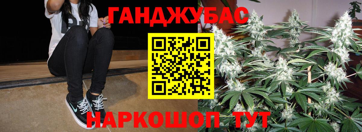 Гай  Бошки марихуана планчик  Вход с VPN  Марихуана ГИДРОПОН  Каннабис семена 
